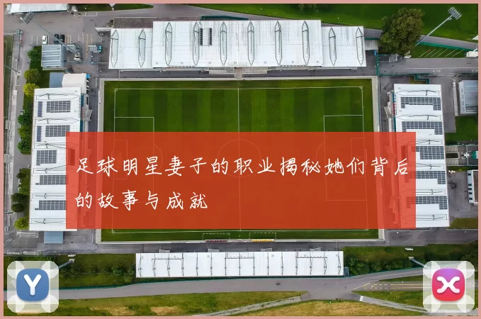 足球明星妻子的职业揭秘她们背后的故事与成就