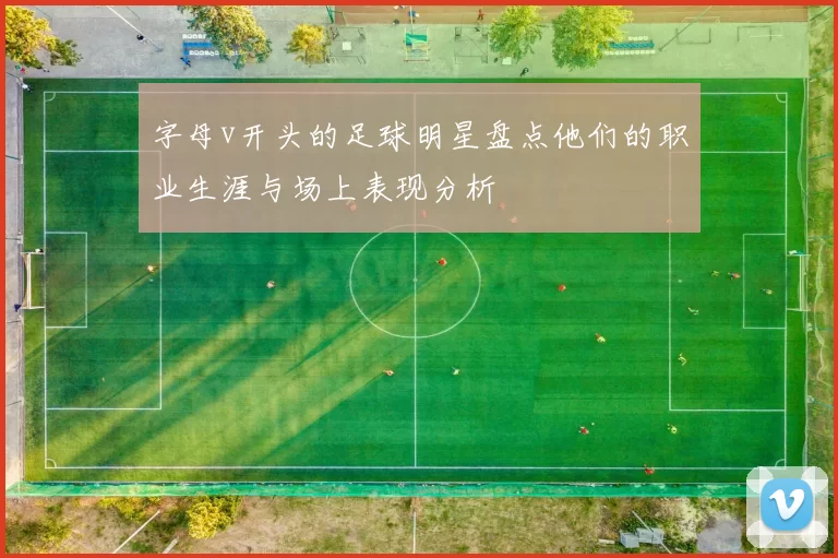 字母v开头的足球明星盘点他们的职业生涯与场上表现分析