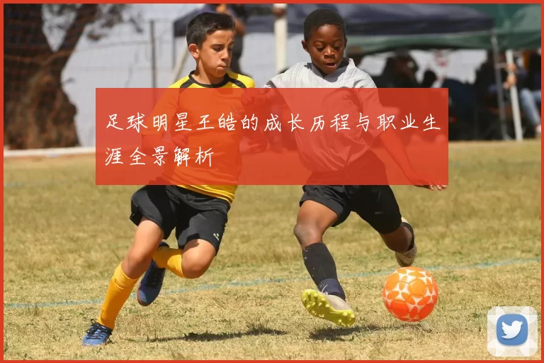 足球明星王皓的成长历程与职业生涯全景解析