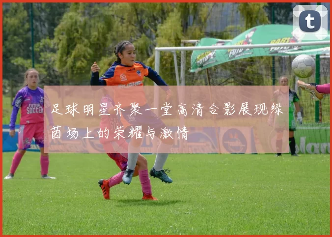 足球明星齐聚一堂高清合影展现绿茵场上的荣耀与激情