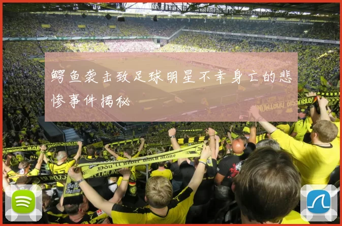 鳄鱼袭击致足球明星不幸身亡的悲惨事件揭秘