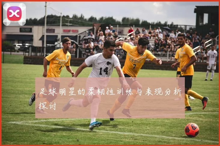 足球明星的柔韧性训练与表现分析探讨