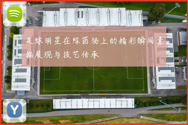 足球明星在绿茵场上的精彩瞬间素描展现与技艺传承