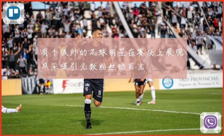 有个很帅的足球明星在赛场上展现风采吸引无数粉丝的目光