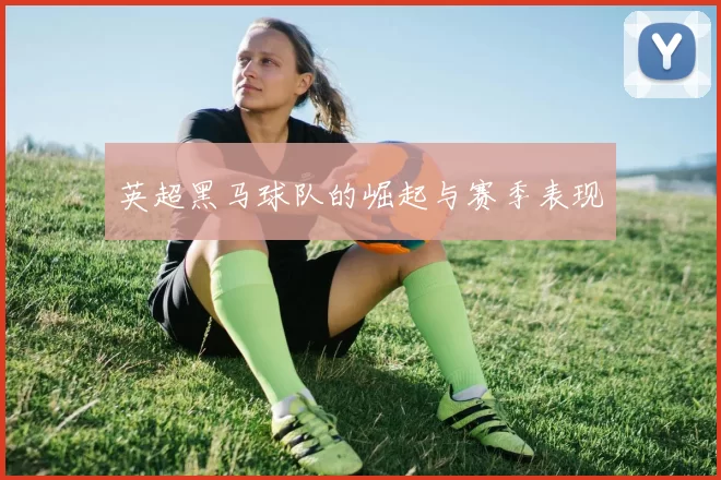 英超黑马球队的崛起与赛季表现
