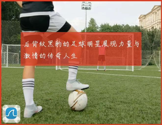 后背纹黑豹的足球明星展现力量与激情的传奇人生