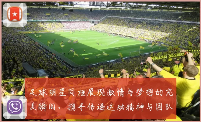 足球明星同框展现激情与梦想的完美瞬间，携手传递运动精神与团队力量