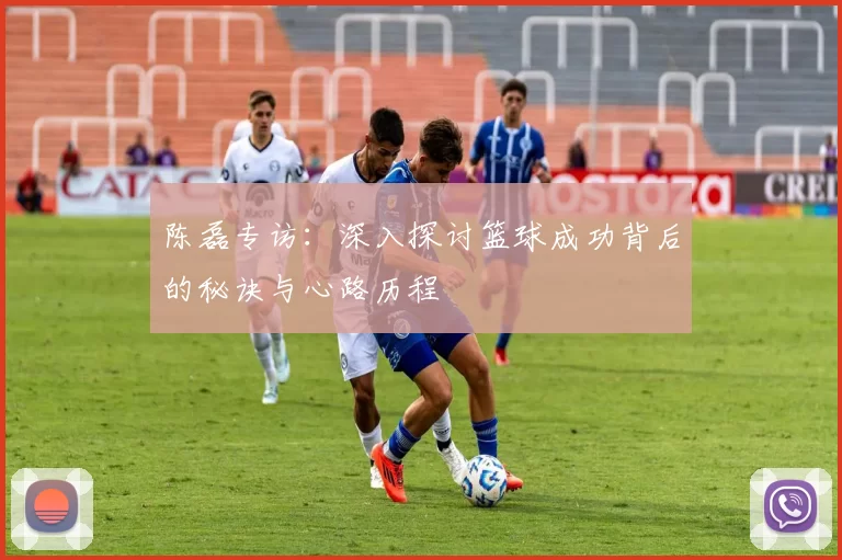 陈磊专访：深入探讨篮球成功背后的秘诀与心路历程