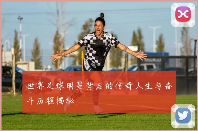 世界足球明星背后的传奇人生与奋斗历程揭秘