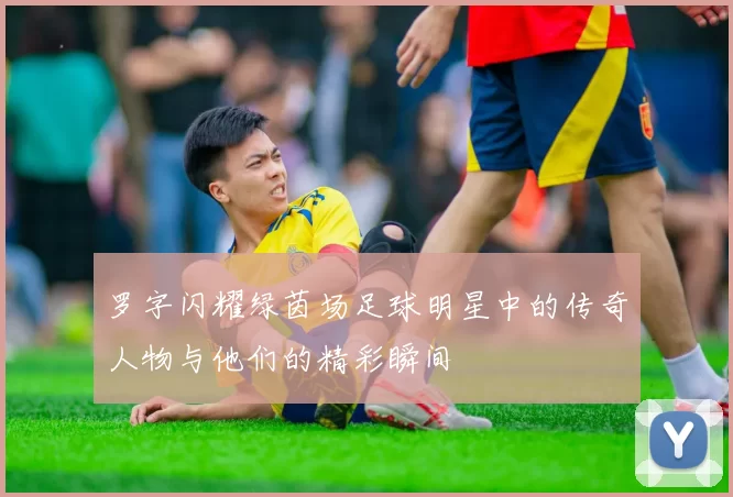 罗字闪耀绿茵场足球明星中的传奇人物与他们的精彩瞬间