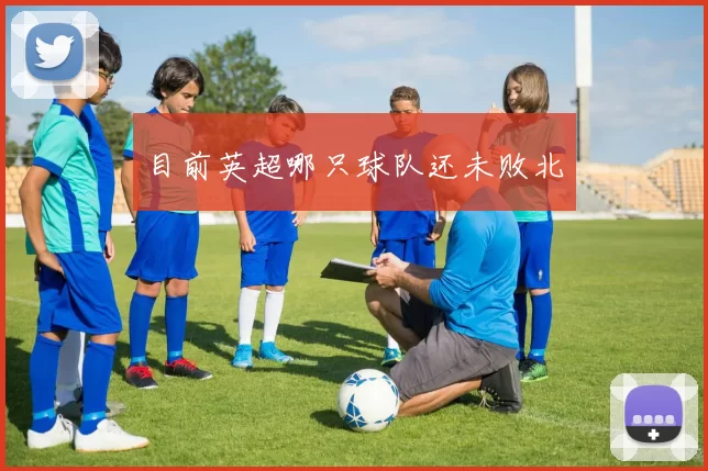 目前英超哪只球队还未败北