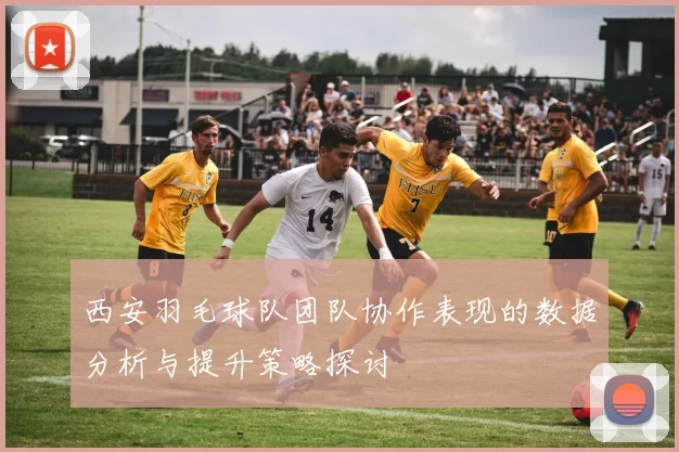 西安羽毛球队团队协作表现的数据分析与提升策略探讨