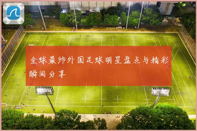 全球最帅外国足球明星盘点与精彩瞬间分享
