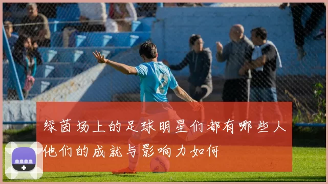 绿茵场上的足球明星们都有哪些人他们的成就与影响力如何