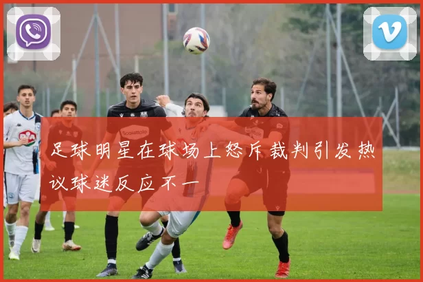 足球明星在球场上怒斥裁判引发热议球迷反应不一