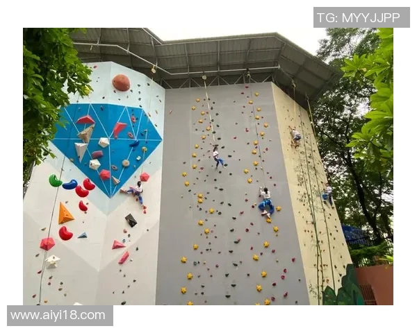 南京攀岩队技术探讨与训练经验分享攀岩运动的未来发展之路 南京攀岩队技术探讨与训练经验分享攀岩运动的未来发展之路