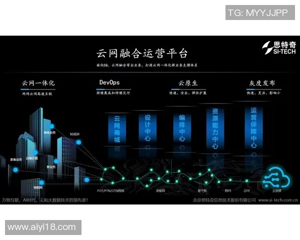 南京羽毛球队运营策略深度分析与发展前景展望 南京羽毛球队运营策略深度分析与发展前景展望