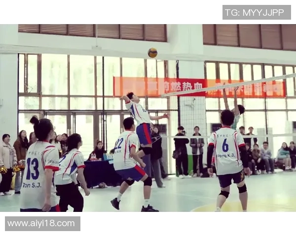 南京排球队的奋斗与荣耀:一段不平凡的排球纪实之旅 南京排球队的奋斗与荣耀:一段不平凡的排球纪实之旅