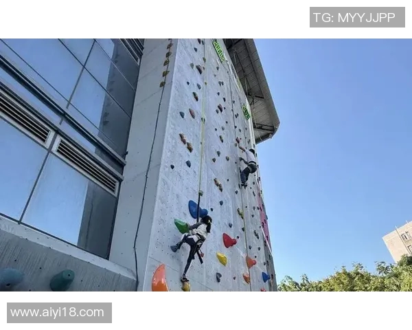 广州攀岩队创历史新高速度排名引发全国关注与热议 广州攀岩队创历史新高速度排名引发全国关注与热议