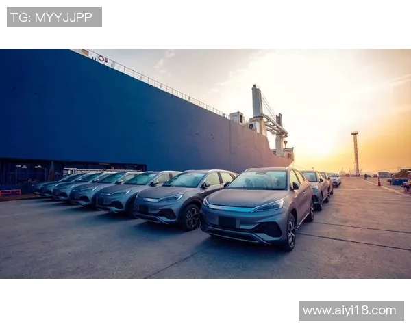 武汉羽毛球队的辉煌征程与突破时刻全景纪实