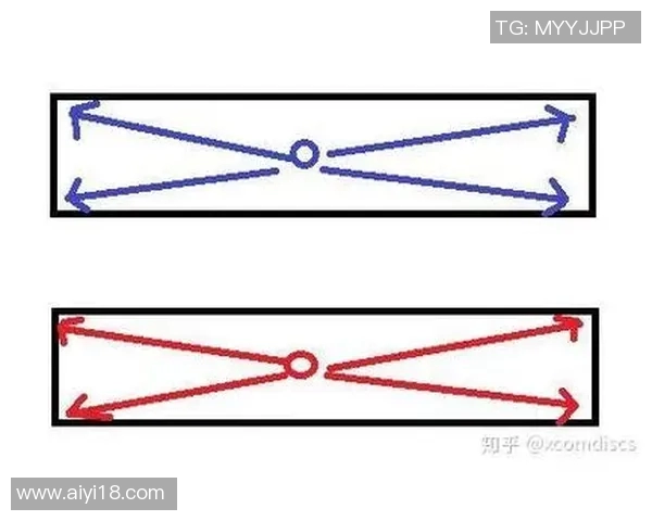 广州飞盘队区域防守战术解析与实战应用探讨 广州飞盘队区域防守战术解析与实战应用探讨