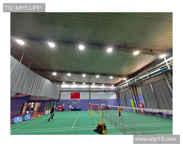 深圳羽毛球队的蜕变之路与深度解析羽毛球运动的未来发展